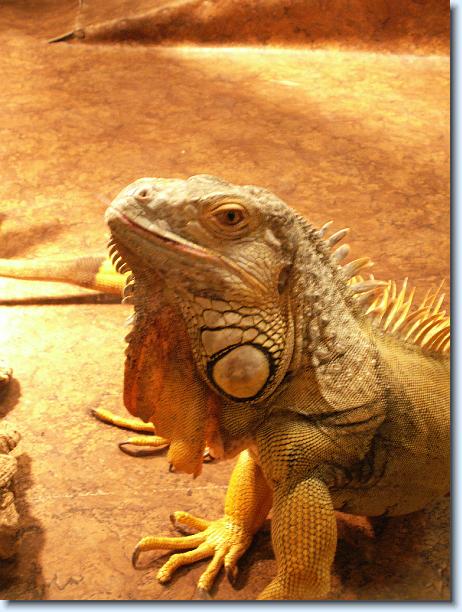 Dit is de laatste foto